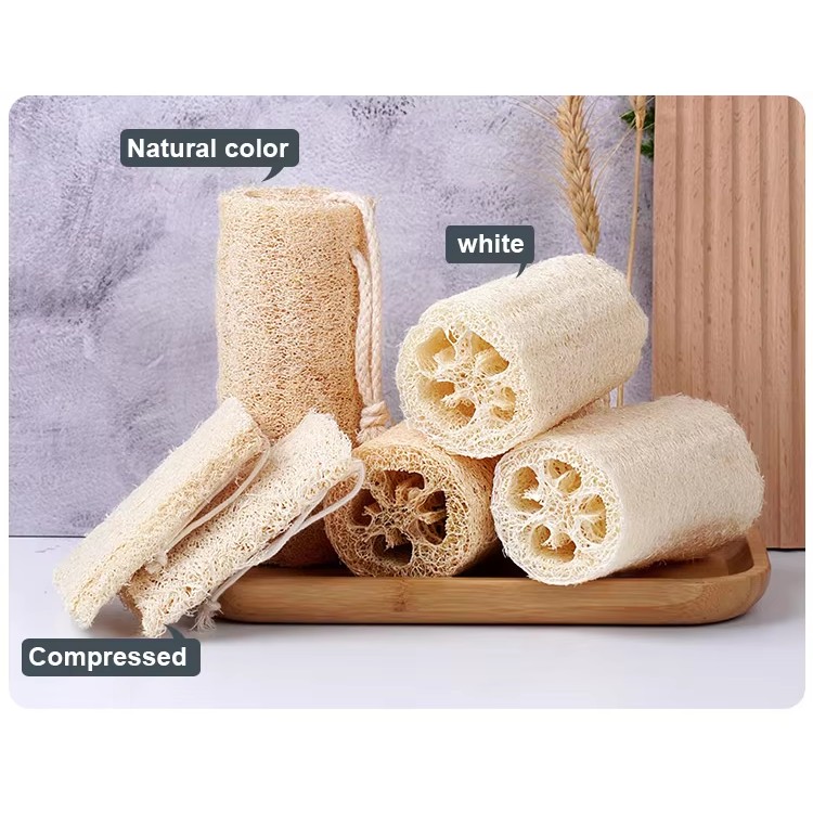 Fabricantes de esponjas ensinam como comprar esponjas cosméticas