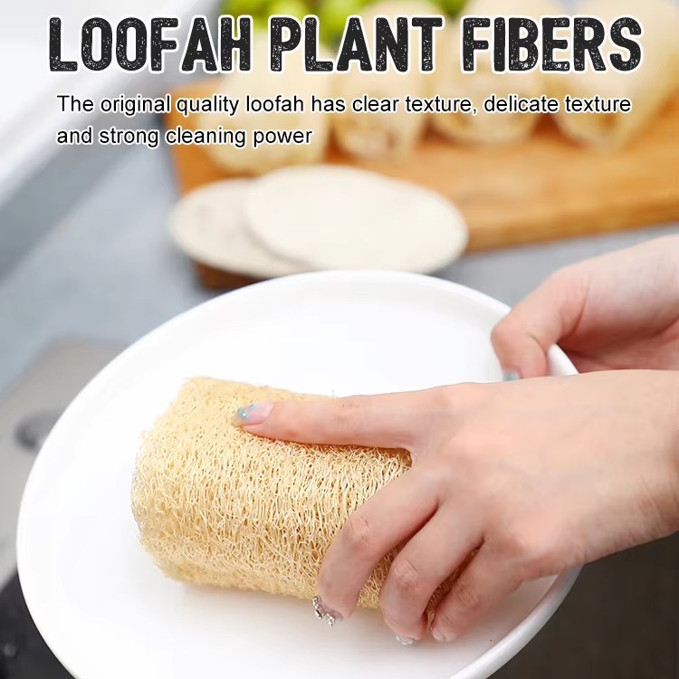 Limpeza da escova de banho para bucha de cozinha